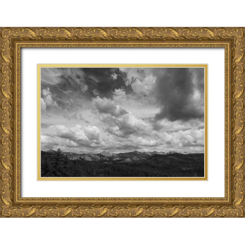 Yosemite V Gold Ornate Wood Framed Art Print with Double Matting by Eichman, Andre