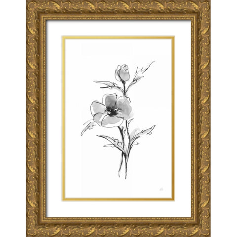 Wash Anemone I Gold Ornate Wood Framed Art Print with Double Matting by Paschke, Chris