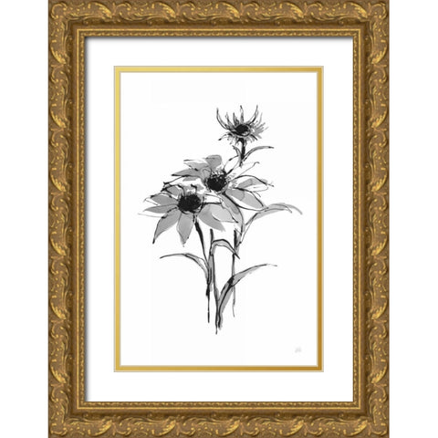 Wash Echinacea I Gold Ornate Wood Framed Art Print with Double Matting by Paschke, Chris