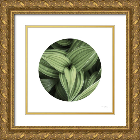 Corn Lily Circle II Gold Ornate Wood Framed Art Print with Double Matting by Majchrowicz, Alan