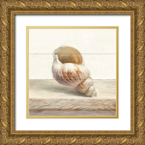 Driftwood Shell I Gold Ornate Wood Framed Art Print with Double Matting by Nai, Danhui