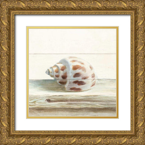 Driftwood Shell II Gold Ornate Wood Framed Art Print with Double Matting by Nai, Danhui