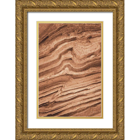 Coyote Buttes IV Autumn Gold Ornate Wood Framed Art Print with Double Matting by Majchrowicz, Alan