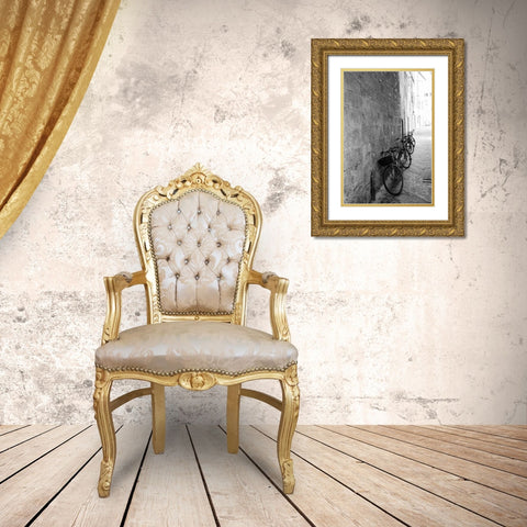 Bicycles in the Alley Gold Ornate Wood Framed Art Print with Double Matting by Aledanda
