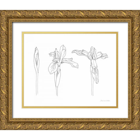 Sketched Iris Gold Ornate Wood Framed Art Print with Double Matting by Miller, Sara Zieve