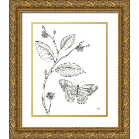 Outdoor Beauties Butterfly I Gold Ornate Wood Framed Art Print with Double Matting by Brissonnet, Daphne