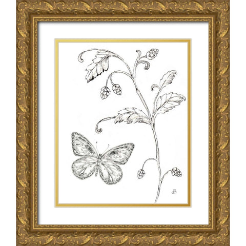 Outdoor Beauties Butterfly II Gold Ornate Wood Framed Art Print with Double Matting by Brissonnet, Daphne