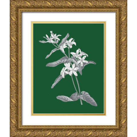 Green Botanical IV Gold Ornate Wood Framed Art Print with Double Matting by Wild Apple Portfolio