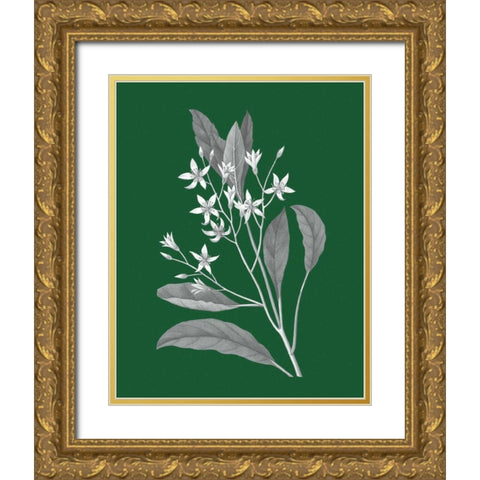 Green Botanical V Gold Ornate Wood Framed Art Print with Double Matting by Wild Apple Portfolio
