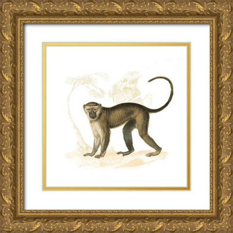 Golden Monkey Gold Ornate Wood Framed Art Print with Double Matting by Wild Apple Portfolio