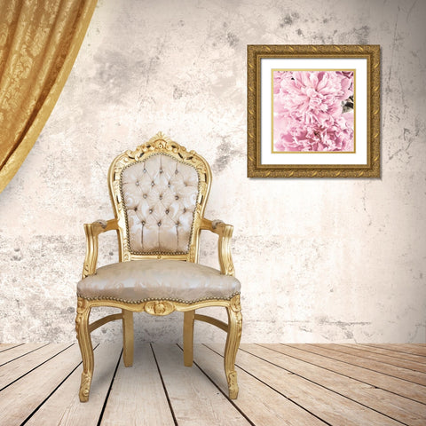 Pale Pink Peony Cluster Gold Ornate Wood Framed Art Print with Double Matting by Catterall, Elise
