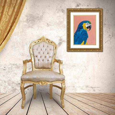 Blue and Gold Macaw Gold Ornate Wood Framed Art Print with Double Matting by Munger, Pamela