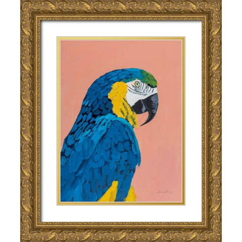 Blue and Gold Macaw Gold Ornate Wood Framed Art Print with Double Matting by Munger, Pamela