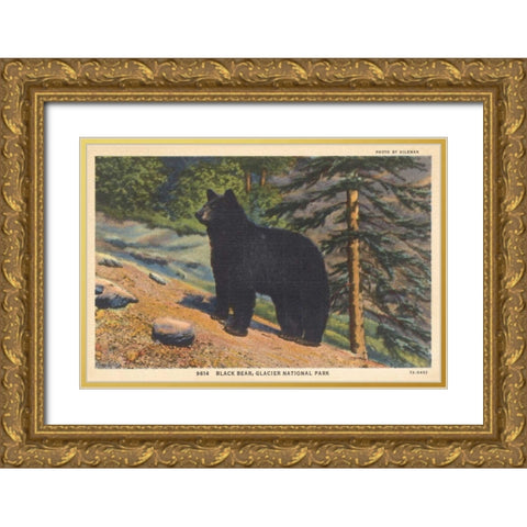 Black Bear I Crop Gold Ornate Wood Framed Art Print with Double Matting by Wild Apple Portfolio