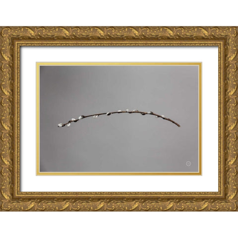 Springtime in the Air Gold Ornate Wood Framed Art Print with Double Matting by Larson, Nathan