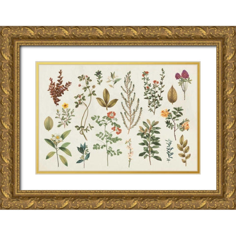 Victorian Garden III Autumn Gold Ornate Wood Framed Art Print with Double Matting by Wild Apple Portfolio