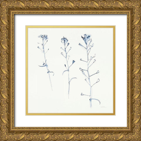 Shepherds Purse Stems I Blue Gold Ornate Wood Framed Art Print with Double Matting by Novak, Shirley