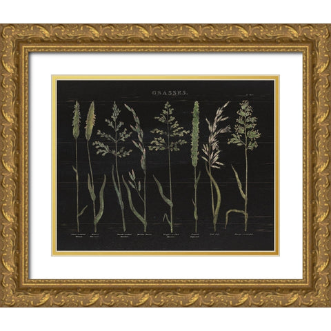 Herbal Botanical VII Black Wood Gold Ornate Wood Framed Art Print with Double Matting by Wild Apple Portfolio