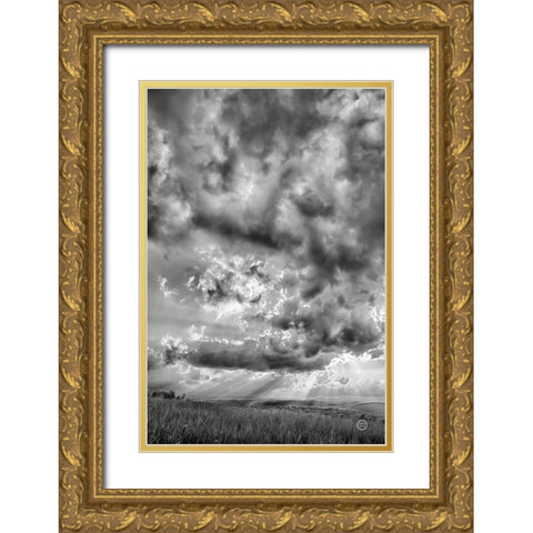 Rolling Pasture Rays Gold Ornate Wood Framed Art Print with Double Matting by Larson, Nathan