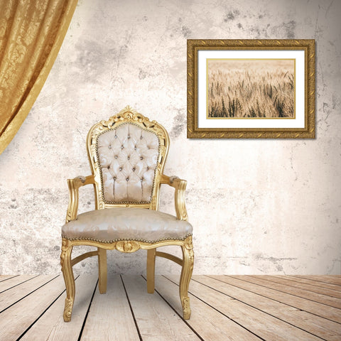 Dakota Wheat Fields Gold Ornate Wood Framed Art Print with Double Matting by Larson, Nathan