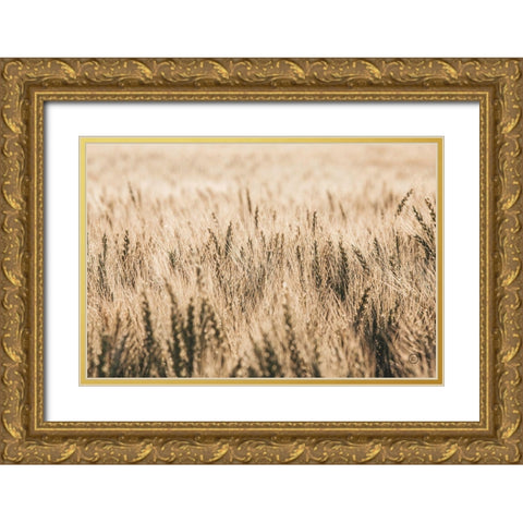Dakota Wheat Fields Gold Ornate Wood Framed Art Print with Double Matting by Larson, Nathan