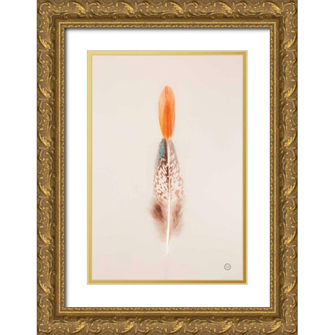 Floating Feathers I Gold Ornate Wood Framed Art Print with Double Matting by Larson, Nathan
