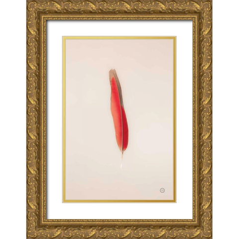 Floating Feathers II Gold Ornate Wood Framed Art Print with Double Matting by Larson, Nathan