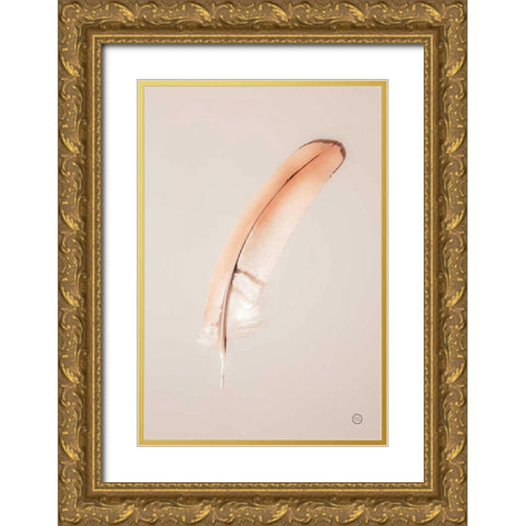 Floating Feathers III Gold Ornate Wood Framed Art Print with Double Matting by Larson, Nathan