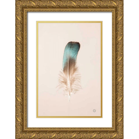 Floating Feathers IV Gold Ornate Wood Framed Art Print with Double Matting by Larson, Nathan