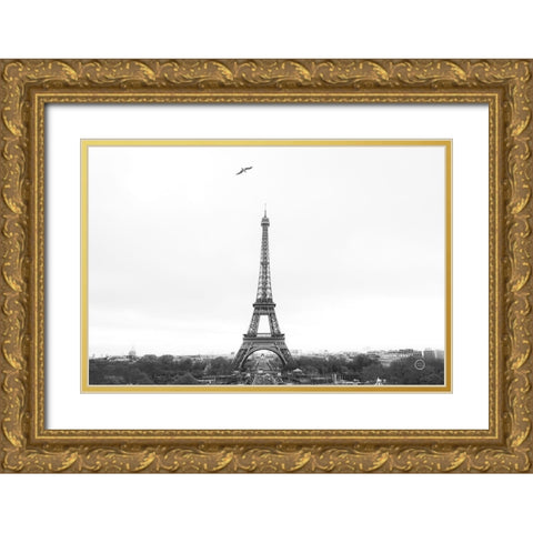 A Birds View of Paris Crop I Gold Ornate Wood Framed Art Print with Double Matting by Larson, Nathan