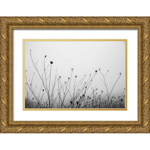 Autumn Grasses Gold Ornate Wood Framed Art Print with Double Matting by Aledanda