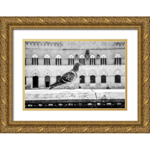 Il Piccione Gold Ornate Wood Framed Art Print with Double Matting by Aledanda