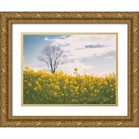 Spring Meadow Gold Ornate Wood Framed Art Print with Double Matting by Aledanda