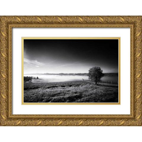 Valley Fog Gold Ornate Wood Framed Art Print with Double Matting by Aledanda