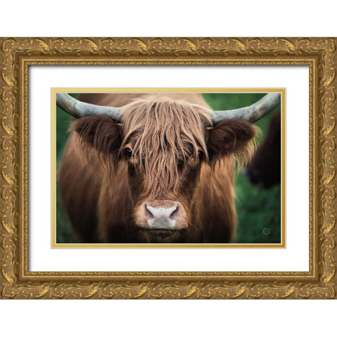 Cow Nose Gold Ornate Wood Framed Art Print with Double Matting by Larson, Nathan