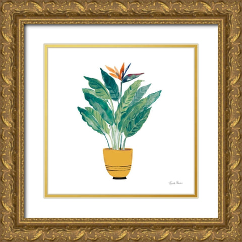 Potted Jewels III Gold Ornate Wood Framed Art Print with Double Matting by Zaman, Farida
