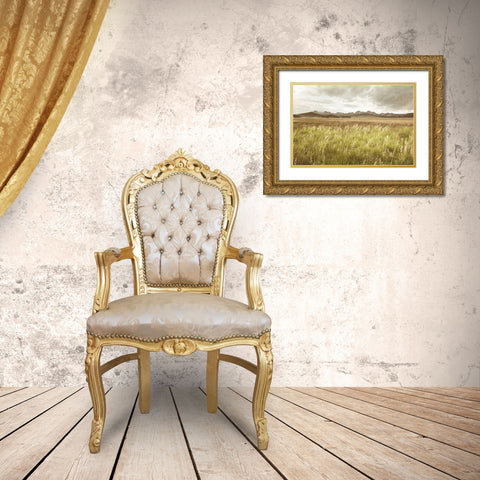 Sawtooth Mountains Idaho II Gold Ornate Wood Framed Art Print with Double Matting by Majchrowicz, Alan