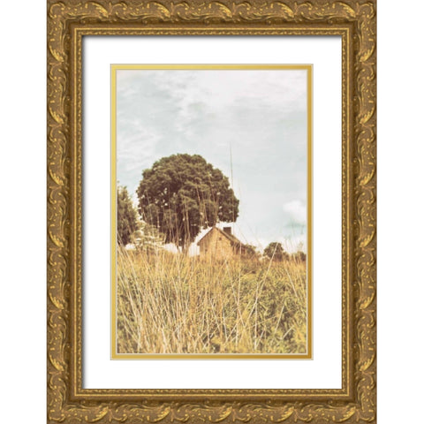 Grass and Sky Light Gold Ornate Wood Framed Art Print with Double Matting by Aledanda