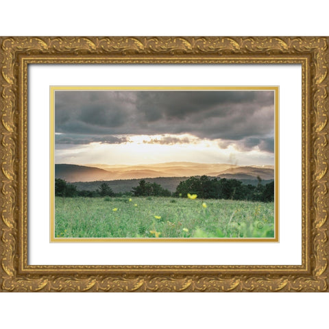 Laying in the Flowers Gold Ornate Wood Framed Art Print with Double Matting by Larson, Nathan