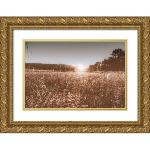 Fields of Gold Gold Ornate Wood Framed Art Print with Double Matting by Larson, Nathan