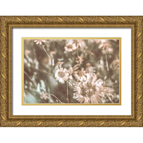 Flower Power Gold Ornate Wood Framed Art Print with Double Matting by Larson, Nathan