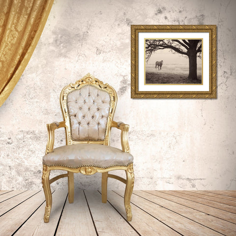 Hazy Horse I Gold Ornate Wood Framed Art Print with Double Matting by Van Swearingen, Debra