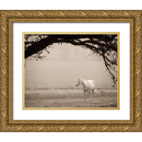 Hazy Horse II Gold Ornate Wood Framed Art Print with Double Matting by Van Swearingen, Debra
