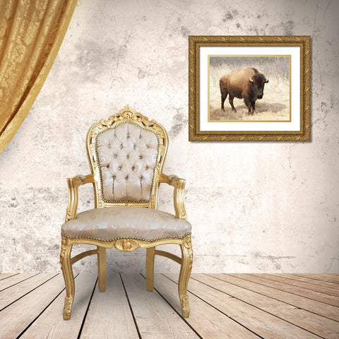 American Bison II Gold Ornate Wood Framed Art Print with Double Matting by Van Swearingen, Debra