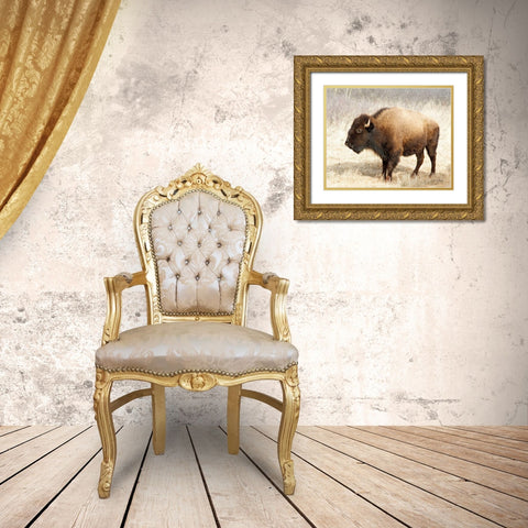 American Bison III Gold Ornate Wood Framed Art Print with Double Matting by Van Swearingen, Debra