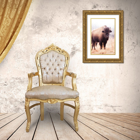 American Bison V Gold Ornate Wood Framed Art Print with Double Matting by Van Swearingen, Debra
