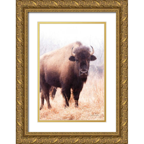 American Bison V Gold Ornate Wood Framed Art Print with Double Matting by Van Swearingen, Debra