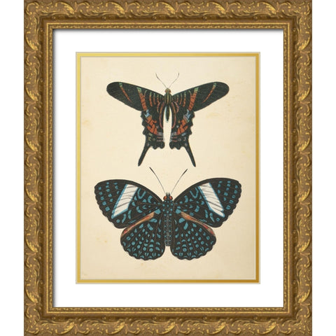 Papillons II Gold Ornate Wood Framed Art Print with Double Matting by Wild Apple Portfolio