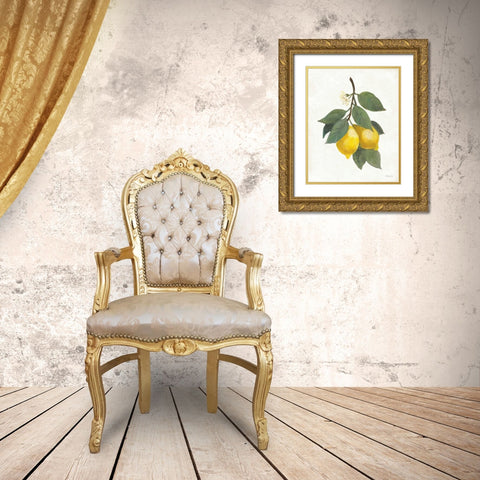 Lemon Branch II Gold Ornate Wood Framed Art Print with Double Matting by Hristova, Albena