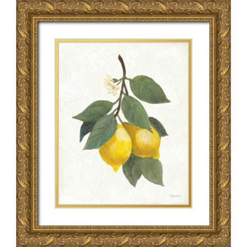 Lemon Branch II Gold Ornate Wood Framed Art Print with Double Matting by Hristova, Albena